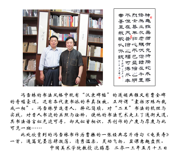 中國美術(shù)學(xué)院沈賜恩教授評(píng)價(jià)馮雪林書法