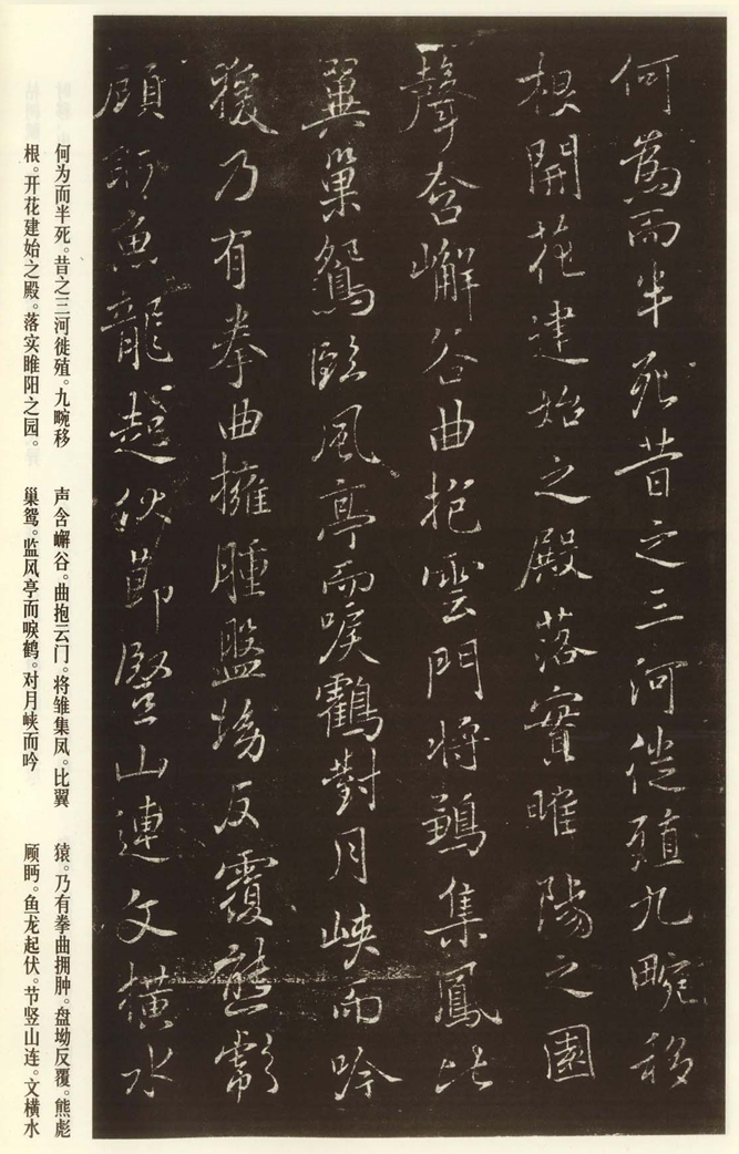 褚遂良《枯樹賦》書法欣賞