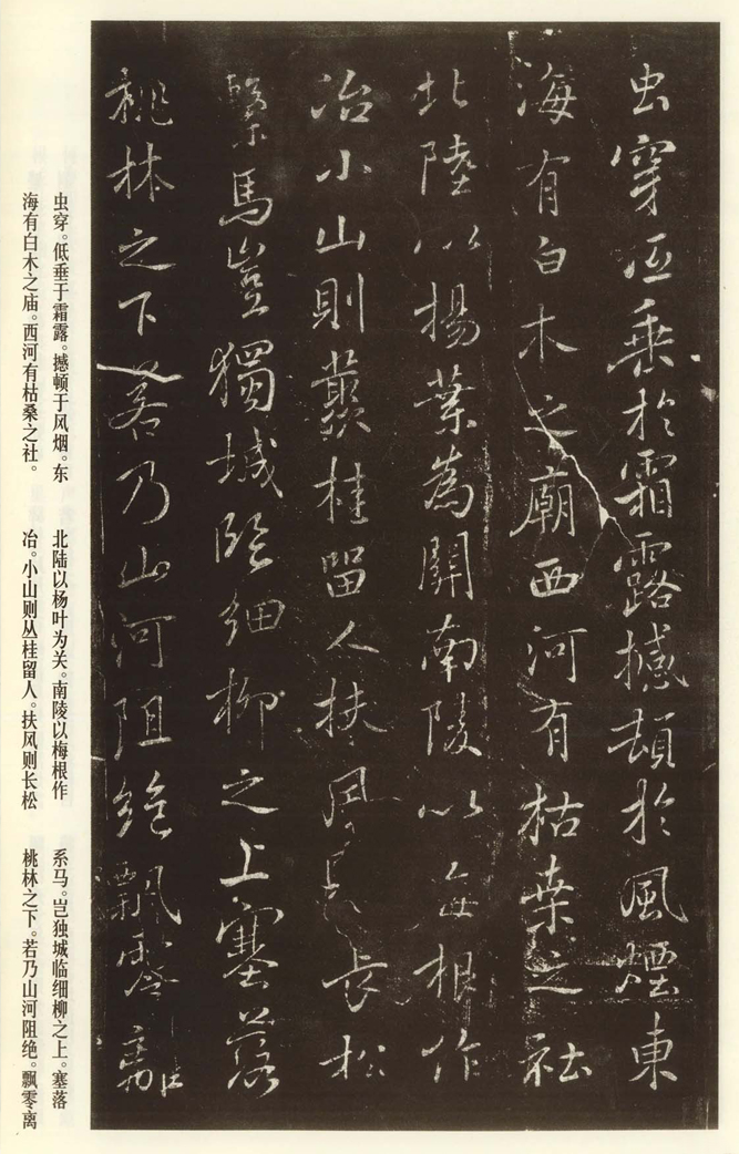 褚遂良《枯樹賦》書法欣賞