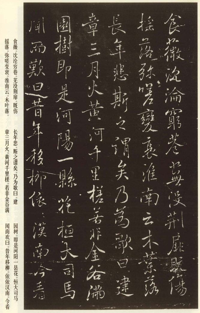 褚遂良《枯樹賦》書法欣賞